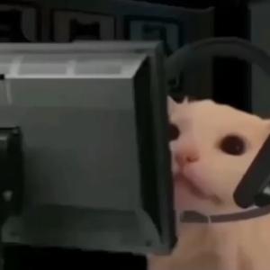 katilcivciv