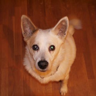 1900themikel