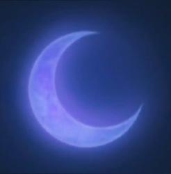 8TTwTT8
