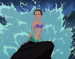 AnniePanda