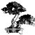 AshCriddell
