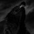 Blackwolf