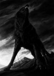 Blackwolf