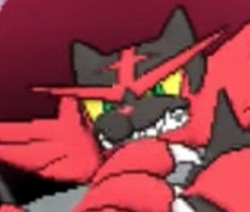 Catstorm