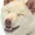 Coji