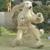 Consome