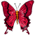 Cora
