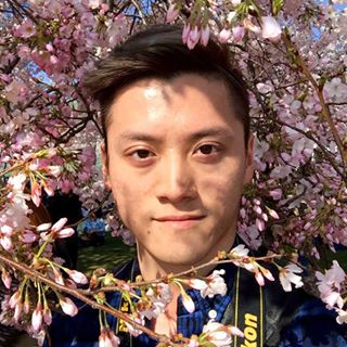 Diksimon