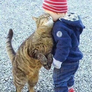 Dina123456