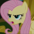 Flutterguy