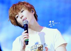 HopeTokki