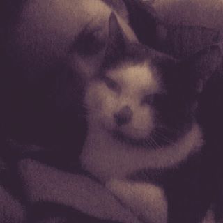 KawaiiAnn