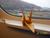 Kayah910