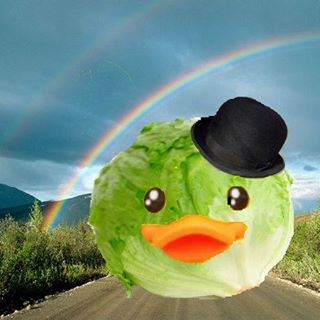 LettuceChu
