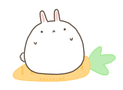 MiBunni