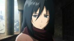 MikasaA