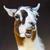 ProjectLlama