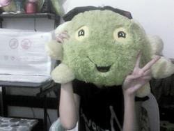 Rie_Reika