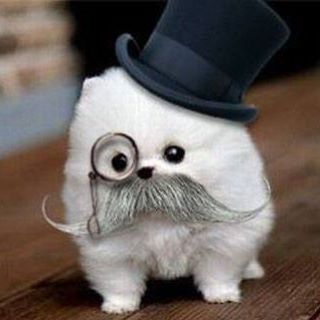 Tengo