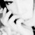 Velvet_Liquor