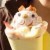 amychan331