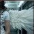 angelbread22