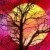 bloom292001