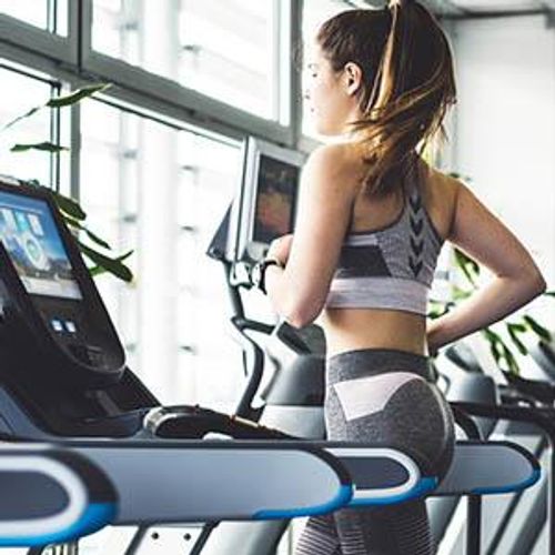 bohgym1
