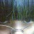 burebure