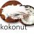 byakuyatogami