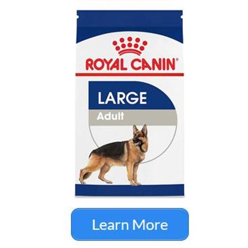 caninegearre