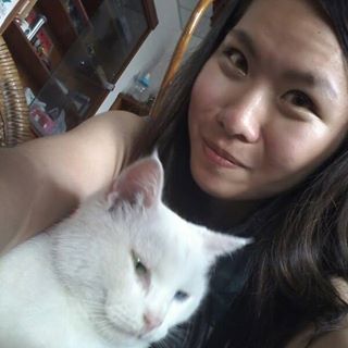 chengyu