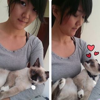 cintia_km
