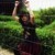 emalini_pons