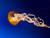 firestrike