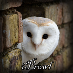 iProwl