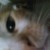 ilimew123