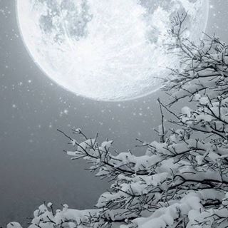 kaku