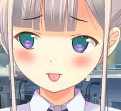 kibou24