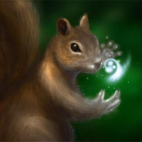kingsquirrel