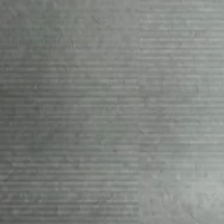 kvitebjonn