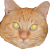 lindle
