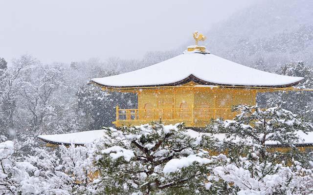 The beauty of Kinkakuji temple covered with snow doesn't change for 100 years.