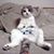 maymeowz