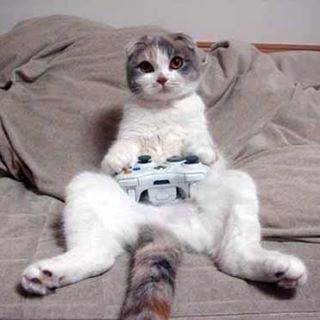 maymeowz
