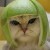 menchithecat