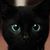 oco_o2