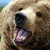 octobear