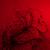 redhunter19