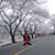 rerambles
